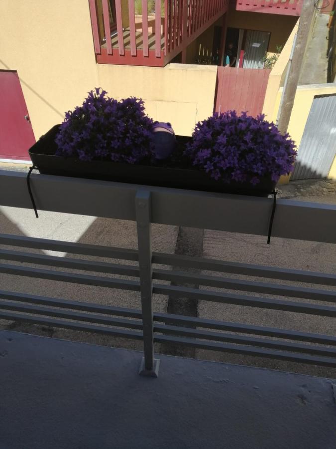 The Violet House Vila Costa Nova Exterior foto
